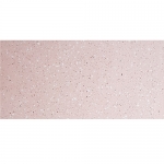 BẬC CẦU THANG TERRAZZO TS1-30S